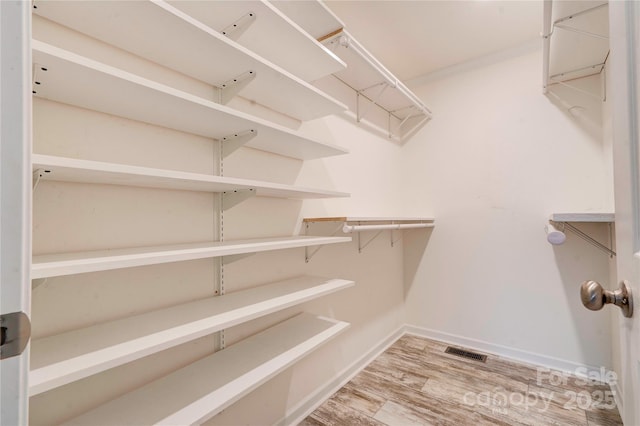 spacious closet featuring wood-type flooring