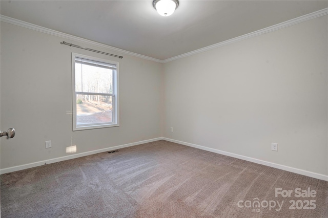 spare room featuring carpet flooring and crown molding