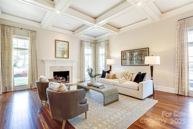 1333 Carlton Ave, Charlotte, NC 28203 - living area with dark wood finished floors, a wealth of natural light, and a high end fireplace