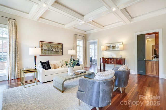 1333 Carlton Ave, Charlotte, NC 28203 - living room featuring beam ceiling, dark wood-type flooring, and plenty of natural light