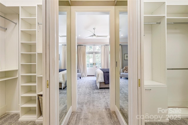 1333 Carlton Ave, Charlotte, NC 28203 - walk in closet with carpet
