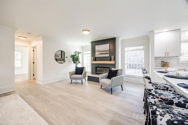 interior space with light hardwood / wood-style floors, crown molding, and a fireplace