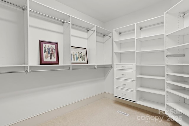 view of spacious closet