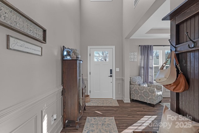 entrance foyer featuring dark wood-type flooring