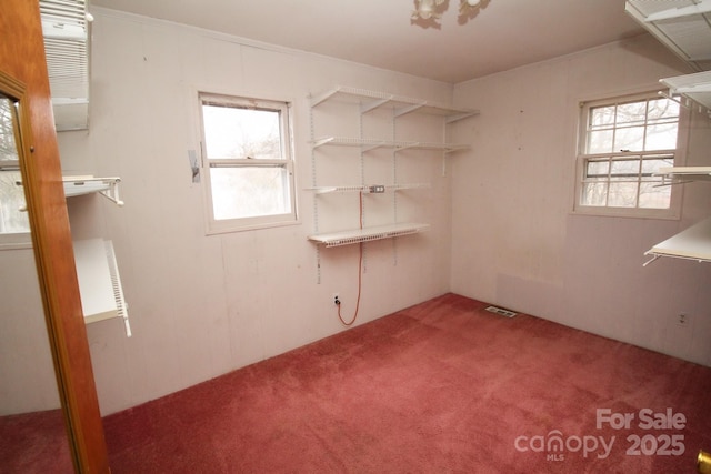 carpeted spare room with plenty of natural light