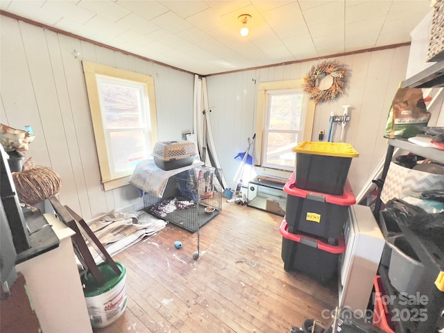 interior space featuring crown molding, wood walls, and light wood-type flooring