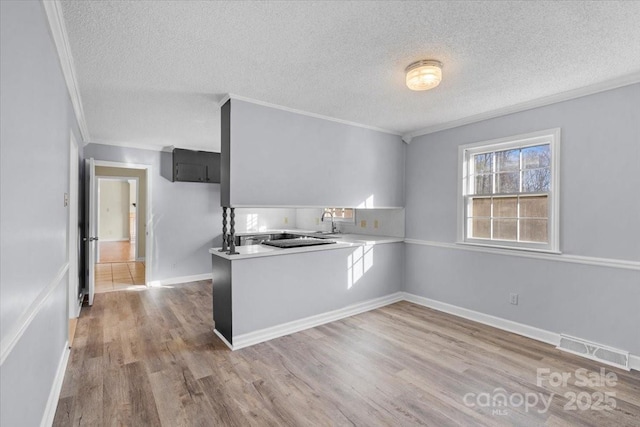 kitchen with kitchen peninsula, ornamental molding, a textured ceiling, sink, and wood-type flooring