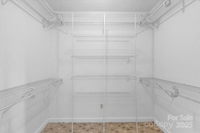 view of spacious closet