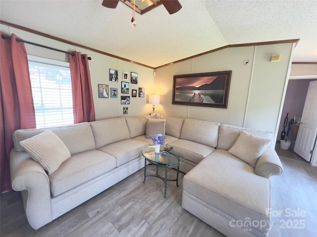 1449 Piedmont Dr NW, Lenoir, NC 28645 - photo 13