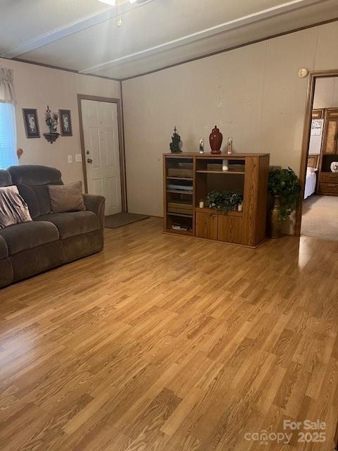 living room with ceiling fan and light hardwood / wood-style flooring