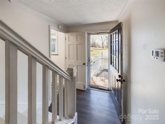 foyer featuring dark hardwood / wood-style flooring, a textured ceiling, and ornamental molding