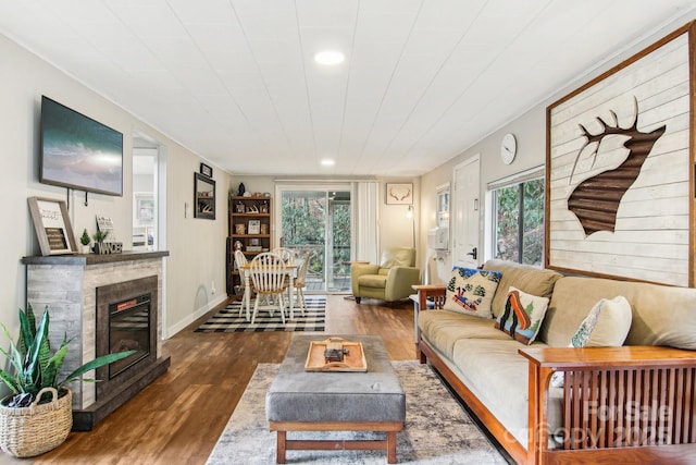 living room featuring dark hardwood / wood-style floors