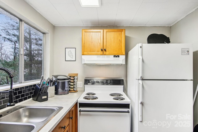 kitchen with plenty of natural light, sink, and white appliances