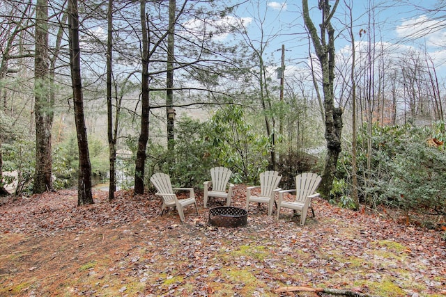 view of yard featuring a fire pit