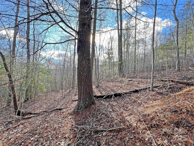 Listing photo 2 for 400 Pine Cone Trl Unit 20, Marshall NC 28753