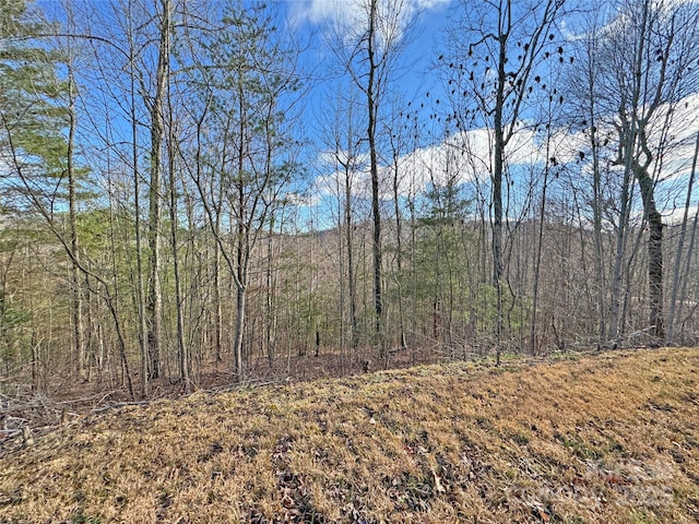 Listing photo 3 for 400 Pine Cone Trl Unit 20, Marshall NC 28753