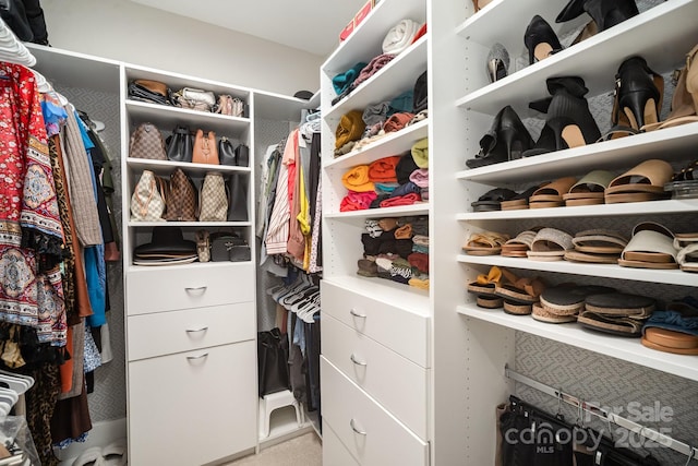 view of walk in closet