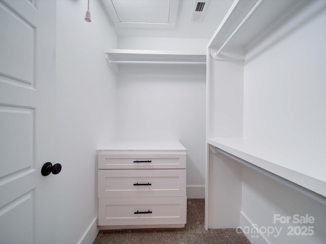 walk in closet featuring carpet flooring