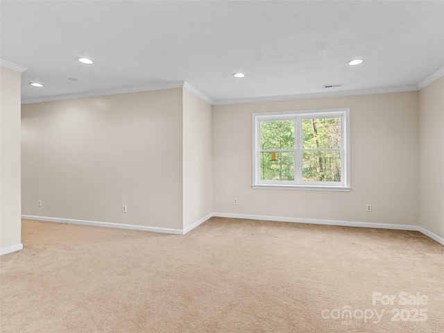 spare room featuring light colored carpet and ornamental molding