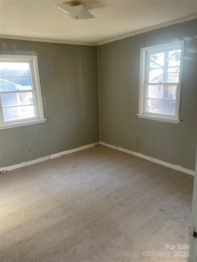 carpeted spare room featuring a textured ceiling and wood walls