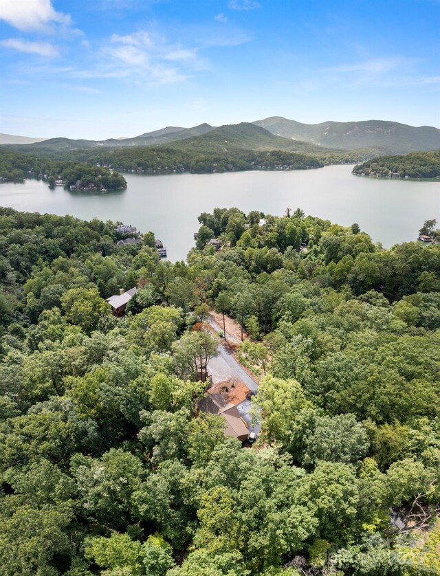 aerial view with a water and mountain view