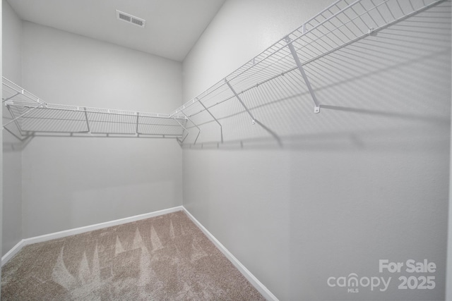 spacious closet featuring carpet flooring