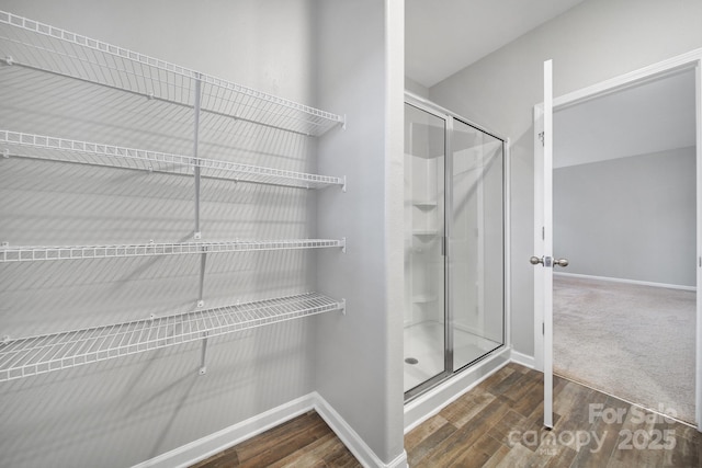 bathroom with hardwood / wood-style floors