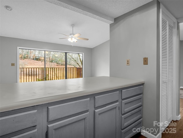 kitchen with gray cabinetry, ceiling fan, dark hardwood / wood-style flooring, and a textured ceiling