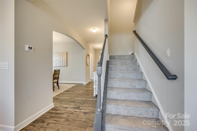 stairway with hardwood / wood-style flooring