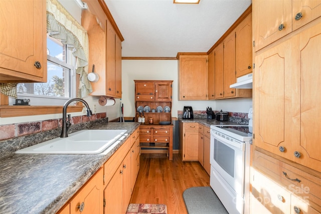 kitchen featuring light hardwood / wood-style floors, white range with electric stovetop, ornamental molding, and sink