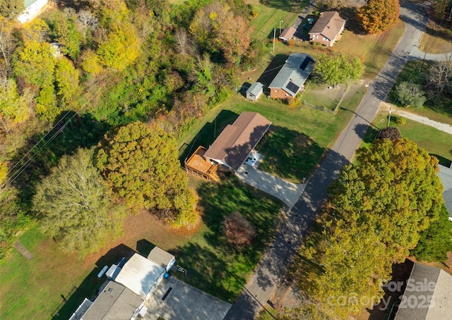 bird's eye view