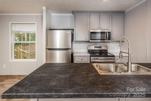 kitchen with stainless steel appliances, gray cabinets, hardwood / wood-style flooring, and sink