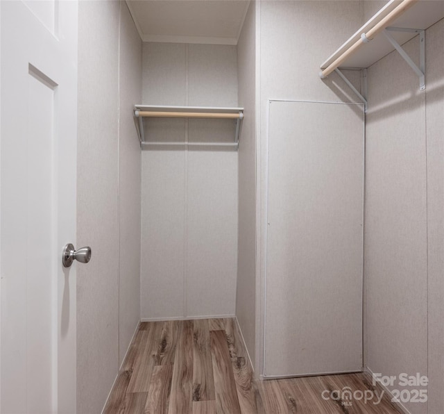 walk in closet featuring hardwood / wood-style floors