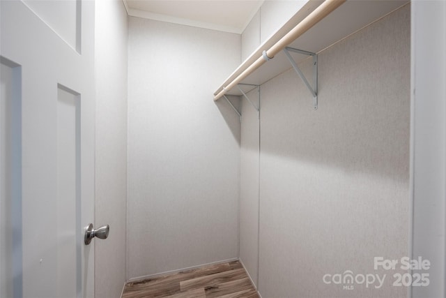 walk in closet featuring light hardwood / wood-style flooring