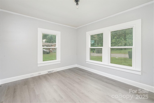 spare room with light hardwood / wood-style floors and a healthy amount of sunlight