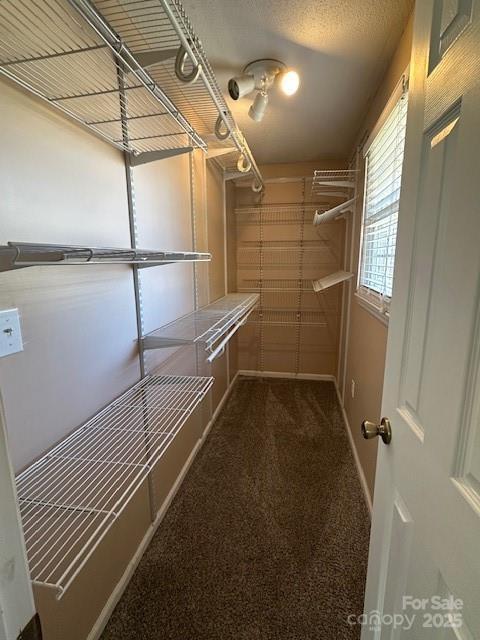 spacious closet with carpet floors