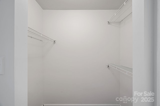 view of walk in closet