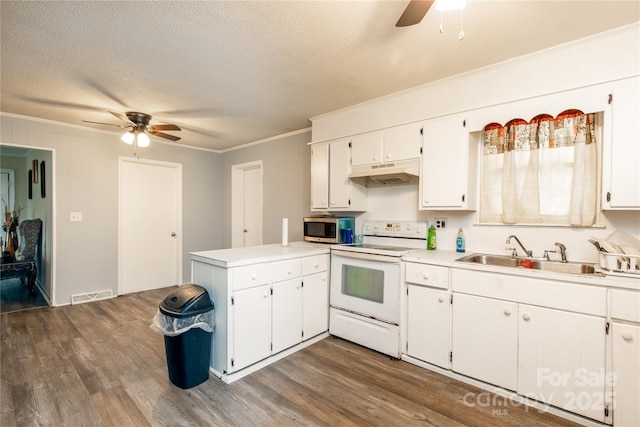 kitchen with electric range, visible vents, a sink, under cabinet range hood, and stainless steel microwave