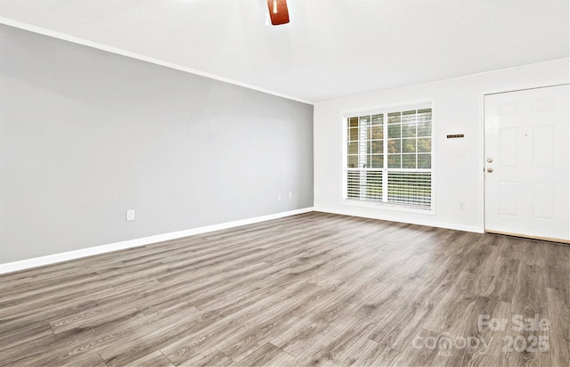 empty room featuring ceiling fan and light hardwood / wood-style flooring