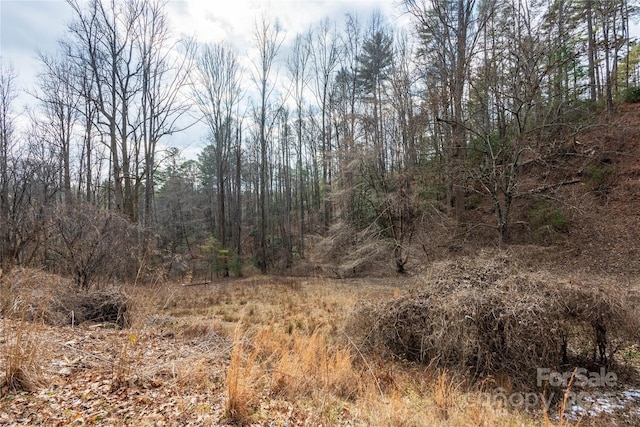 view of local wilderness