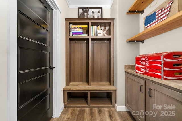 mudroom with hardwood / wood-style flooring