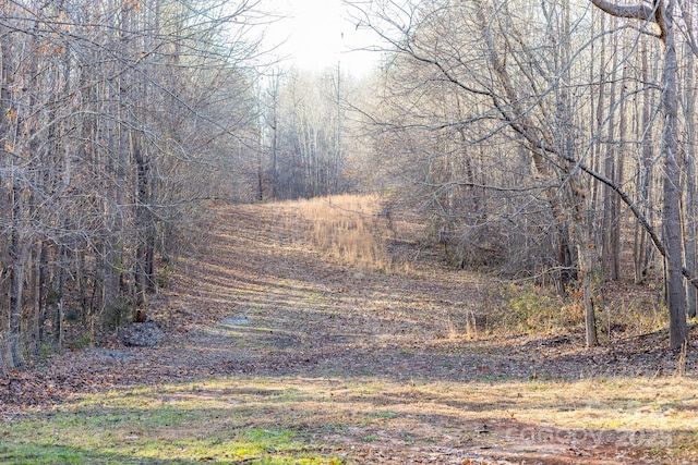 view of nature