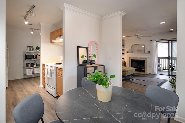 dining room featuring rail lighting, light wood-type flooring, ornamental molding, ceiling fan, and a high end fireplace