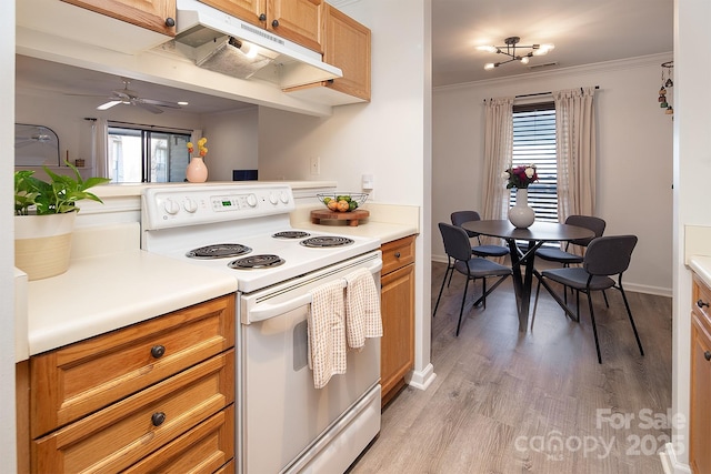 kitchen featuring crown molding, white electric range oven, ceiling fan, and light hardwood / wood-style flooring