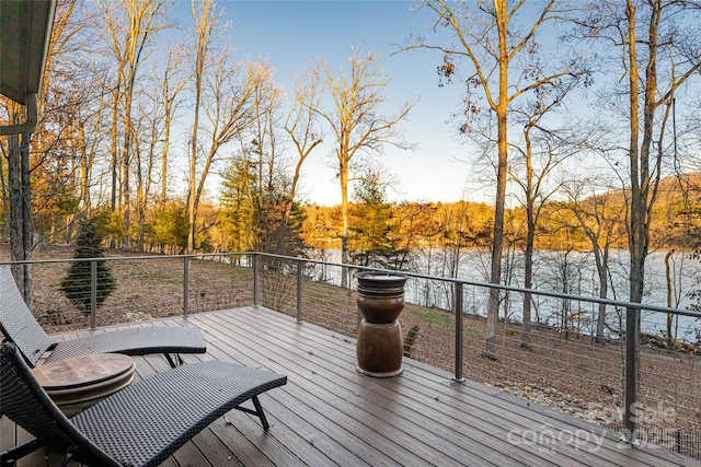 47 Twilight Sedge Dr, Biltmore Lake, NC 28715 - photo 27
