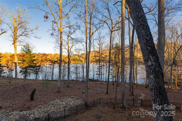 47 Twilight Sedge Dr, Biltmore Lake, NC 28715 - photo 28