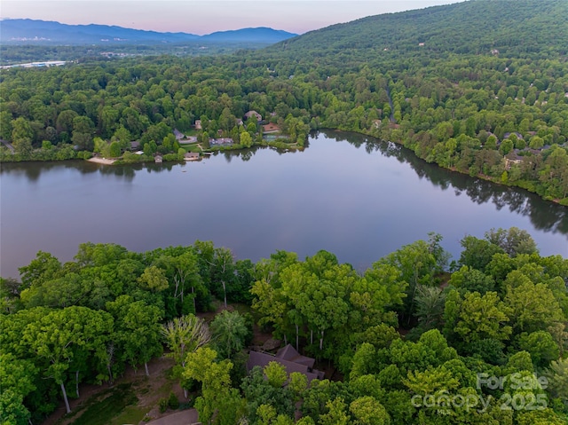 47 Twilight Sedge Dr, Biltmore Lake, NC 28715 - drone / aerial view of a forest and a water and mountain view