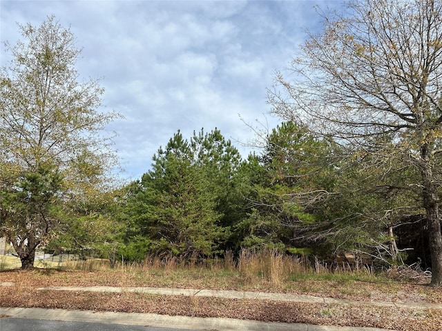 view of local wilderness