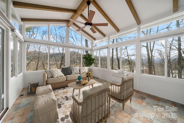 14 Old Chunns Cove Rd, Asheville, NC 28805 - photo 19