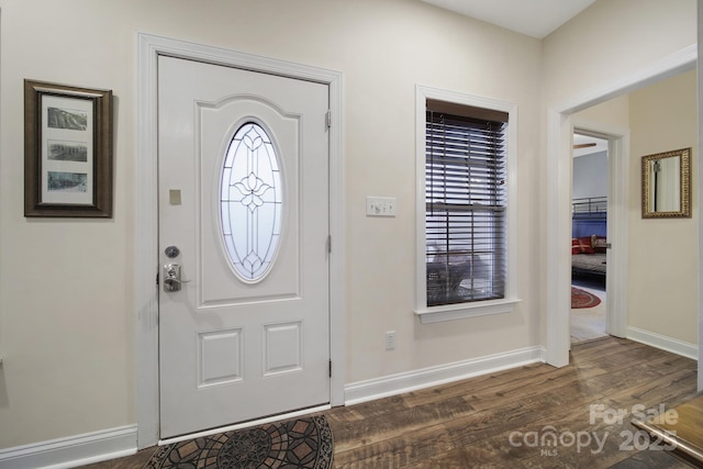 entrance foyer featuring dark wood-type flooring